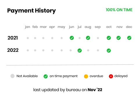 payment history