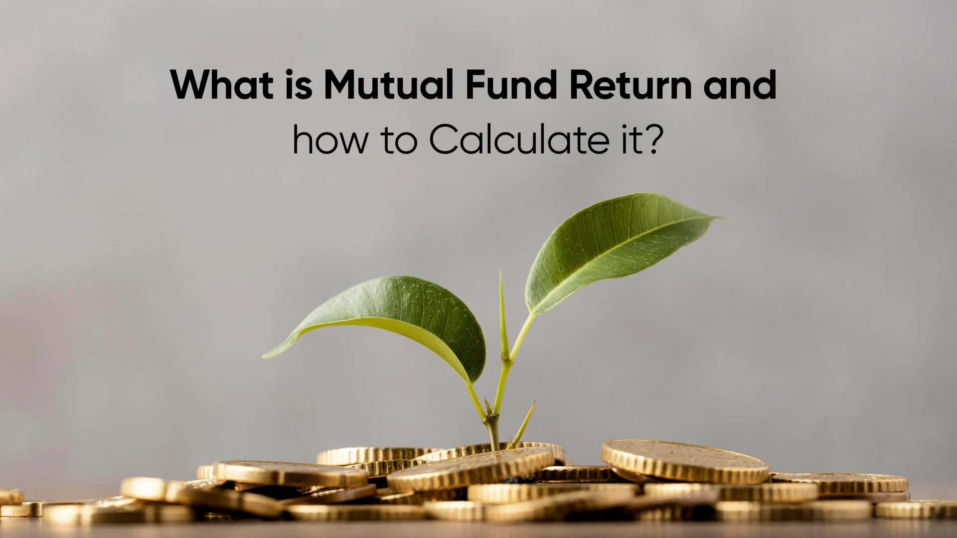 What is Mutual Fund Return and how to Calculate it?