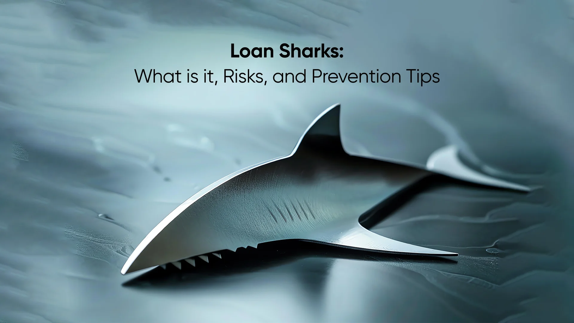 Loan Sharks: What is it, Risks, and Prevention Tips