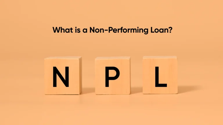 What is a Non-Performing Loan
